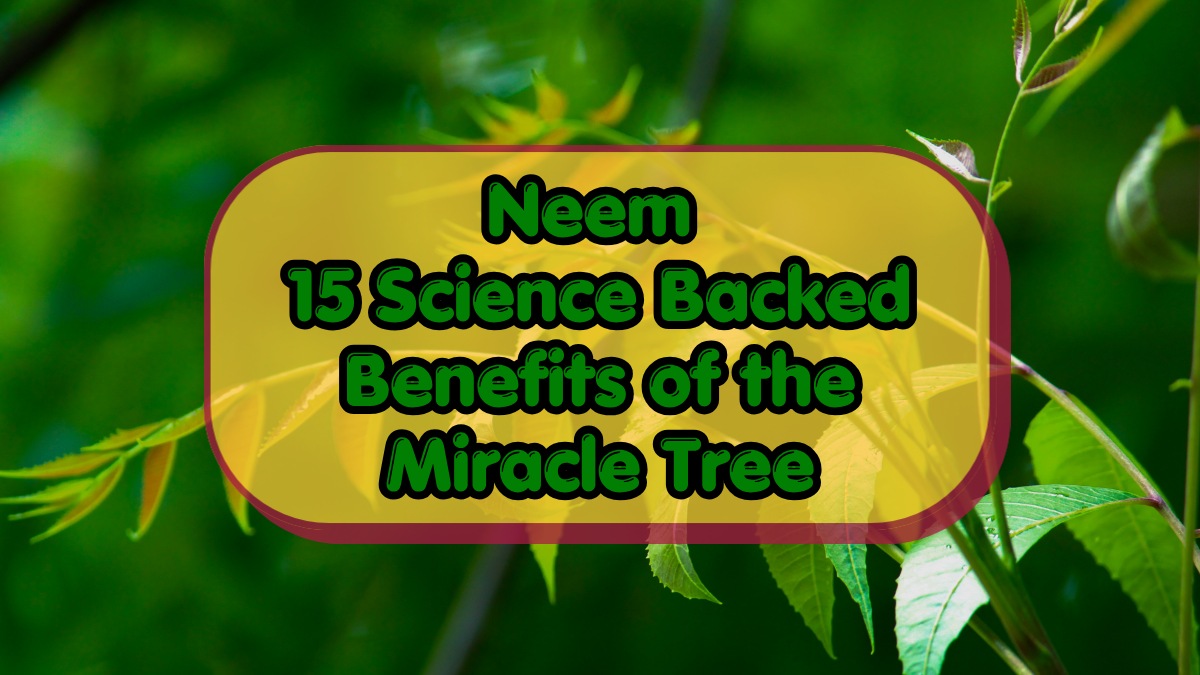 Neem
