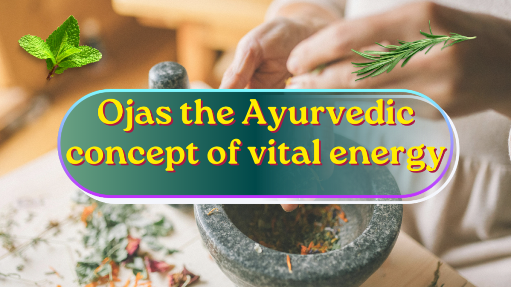 Understanding Ojas The Ayurvedic Concept of Vital Energy and Immunity Ojas the Ayurvedic concept of vital energy