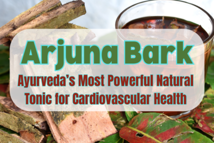 Arjuna Bark