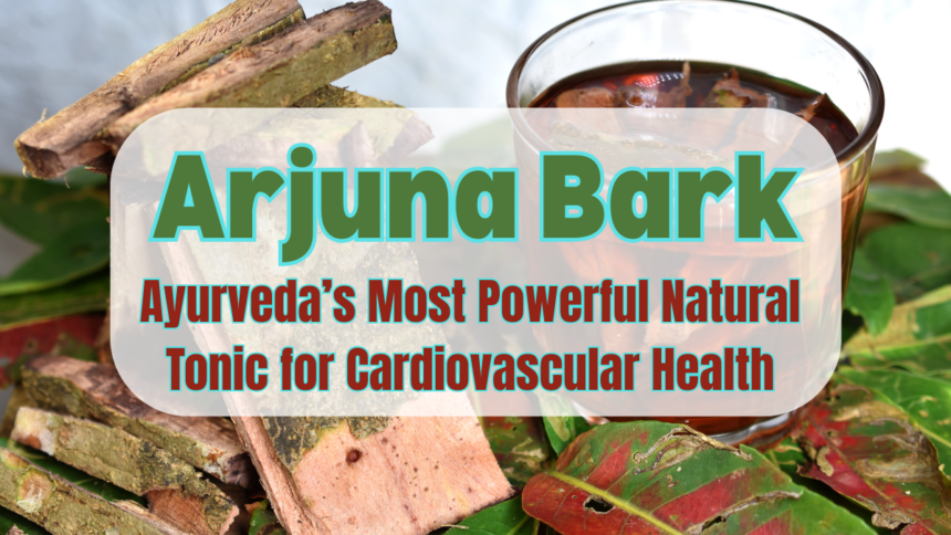Arjuna Bark
