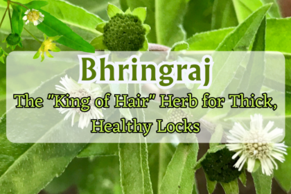 Bhringraj