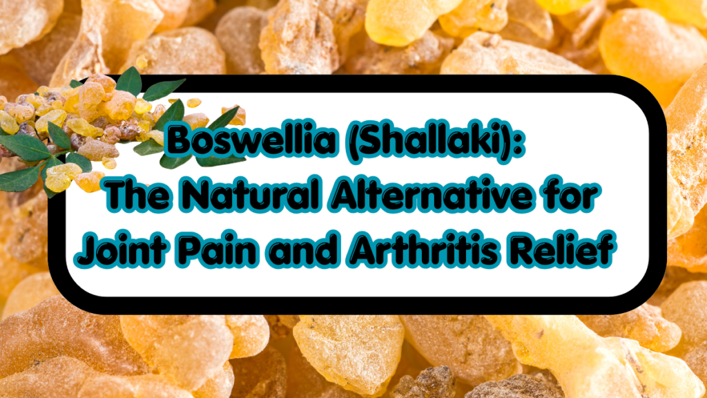 Boswellia (Shallaki): The Natural Alternative for Joint Pain and Arthritis Relief Boswellia (Shallaki)