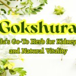 Gokshura
