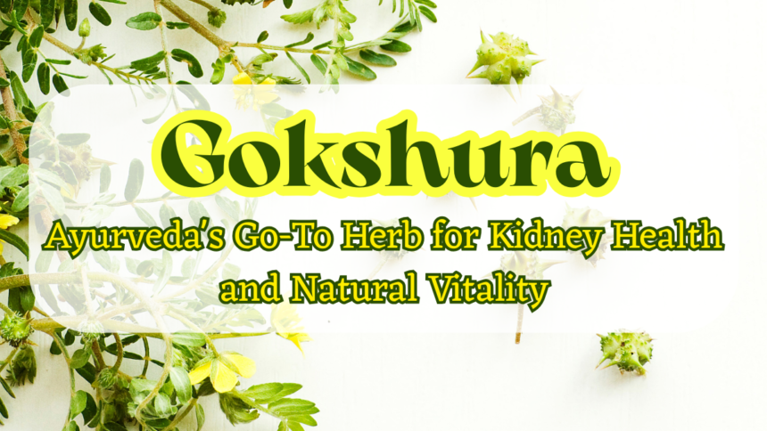 Gokshura: Ayurveda's Go-To Herb for Kidney Health and Natural Vitality Gokshura
