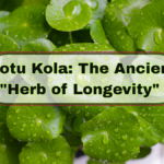 Gotu Kola