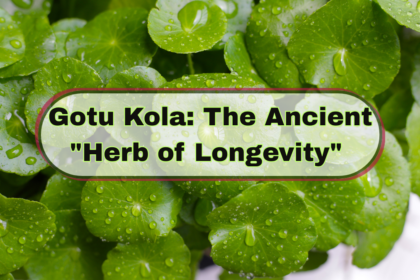 Gotu Kola