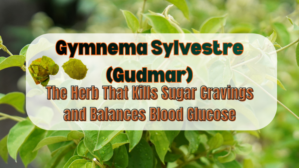 Gymnema Sylvestre (Gudmar): The Herb That Kills Sugar Cravings and Balances Blood Glucose Gymnema Sylvestre (Gudmar)