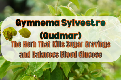 Gymnema Sylvestre (Gudmar)