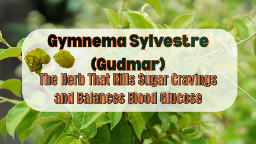 Gymnema Sylvestre (Gudmar)