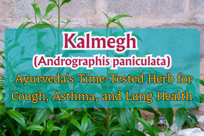 Kalmegh (Andrographis paniculata)