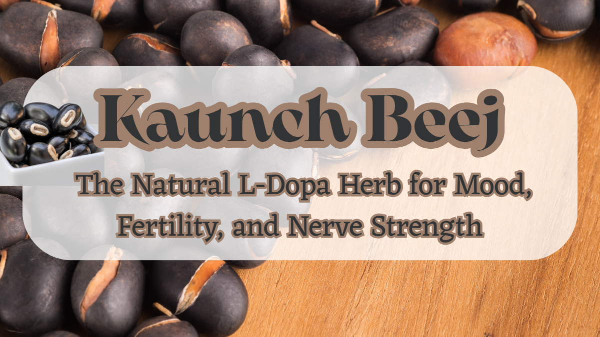 Kaunch Beej