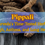 Pippali