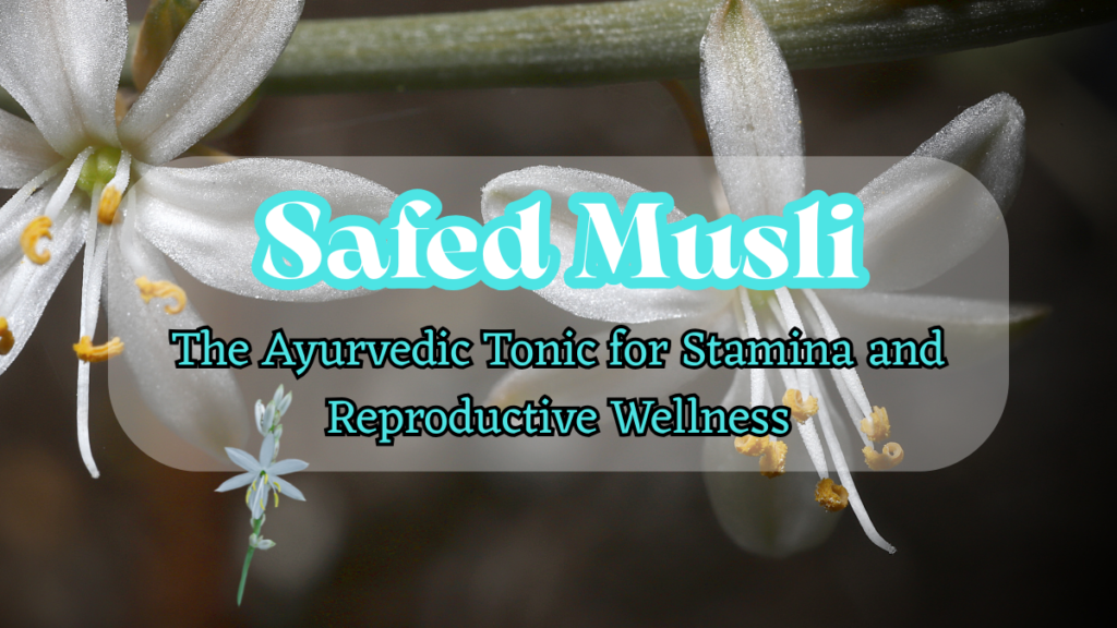 Safed Musli