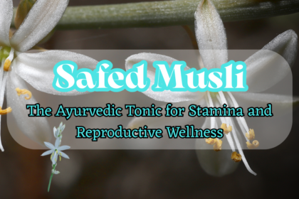 Safed Musli