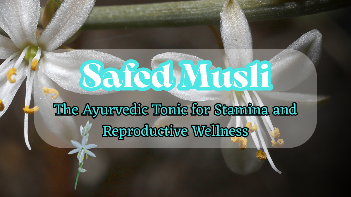 Safed Musli