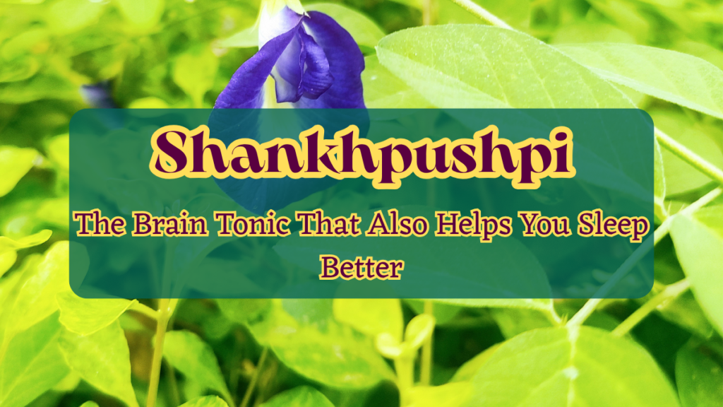 Shankhpushpi: The Brain Tonic That Also Helps You Sleep Better Shankhpushpi