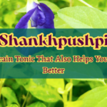Shankhpushpi