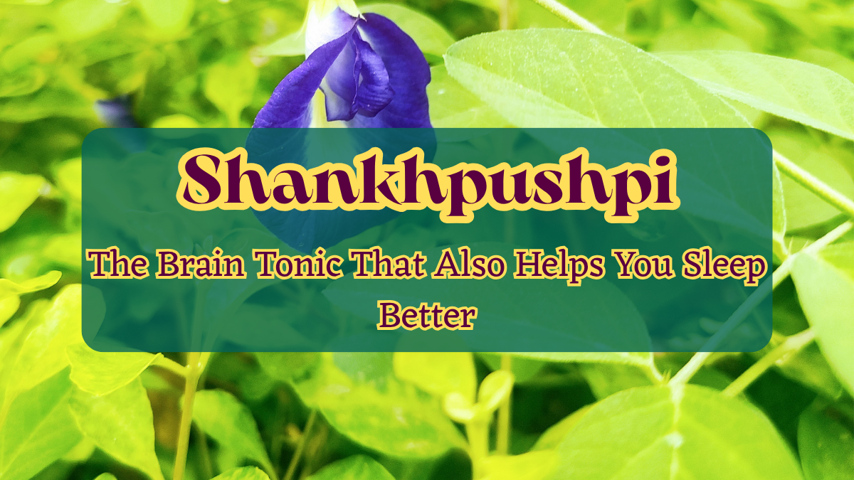 Shankhpushpi
