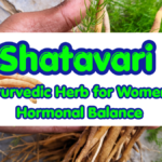 Shatavari