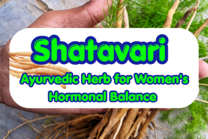 Shatavari