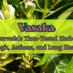 Vasaka