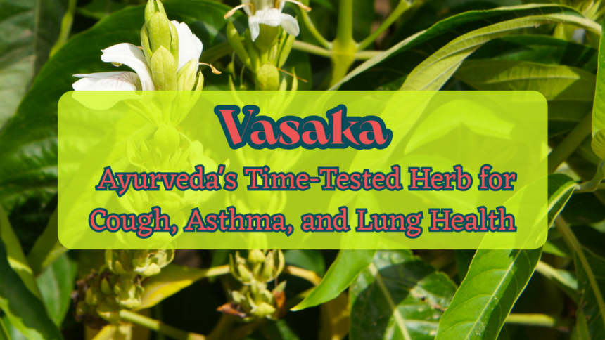 Vasaka
