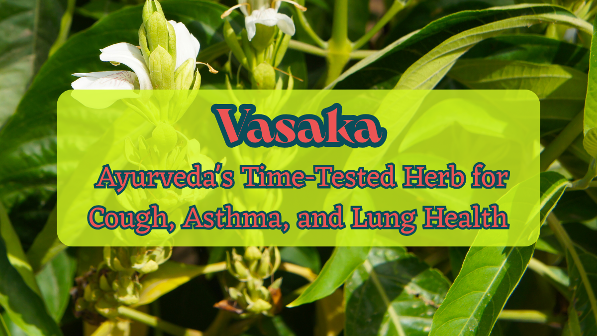Vasaka